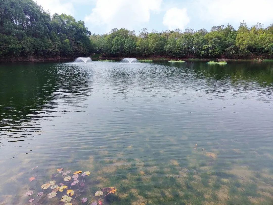 Z6��������ʱ���й����š��ٷ���վ