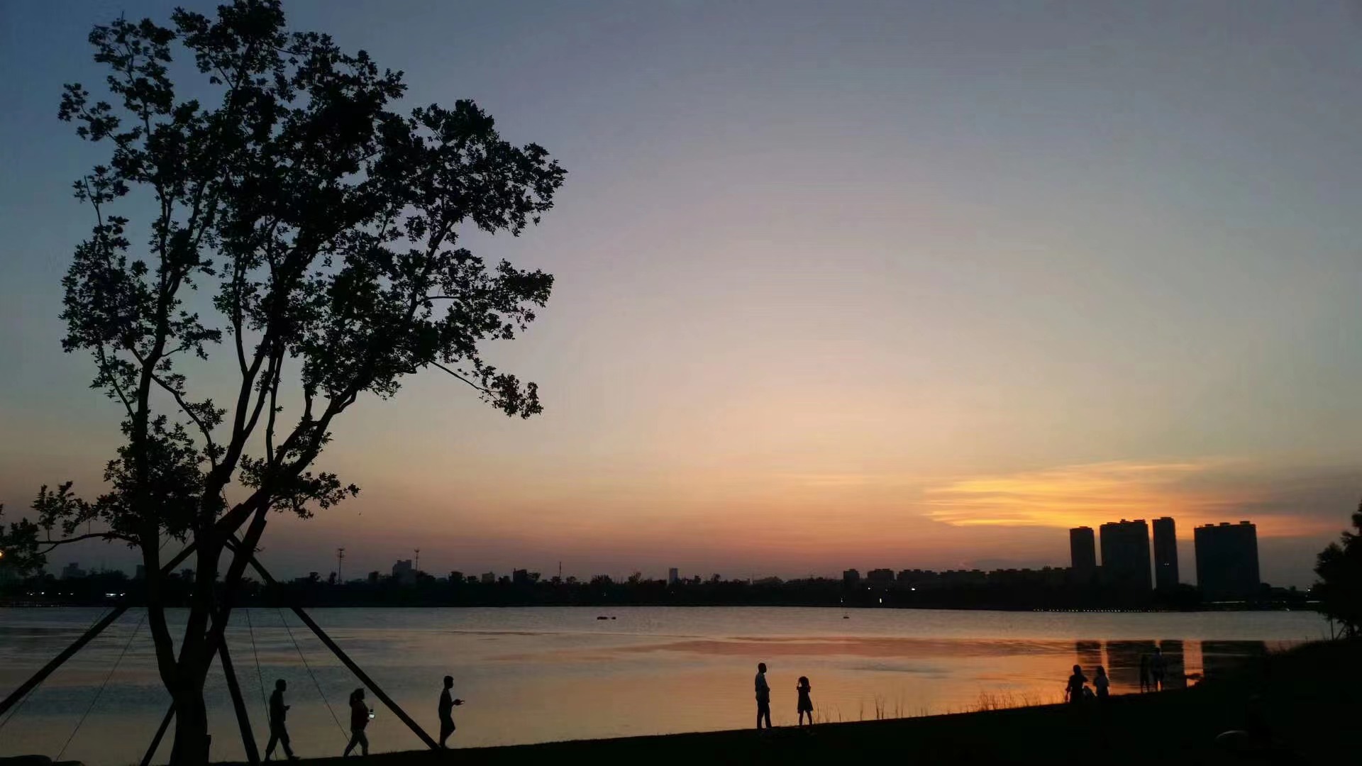 Z6��������ʱ���й����š��ٷ���վ